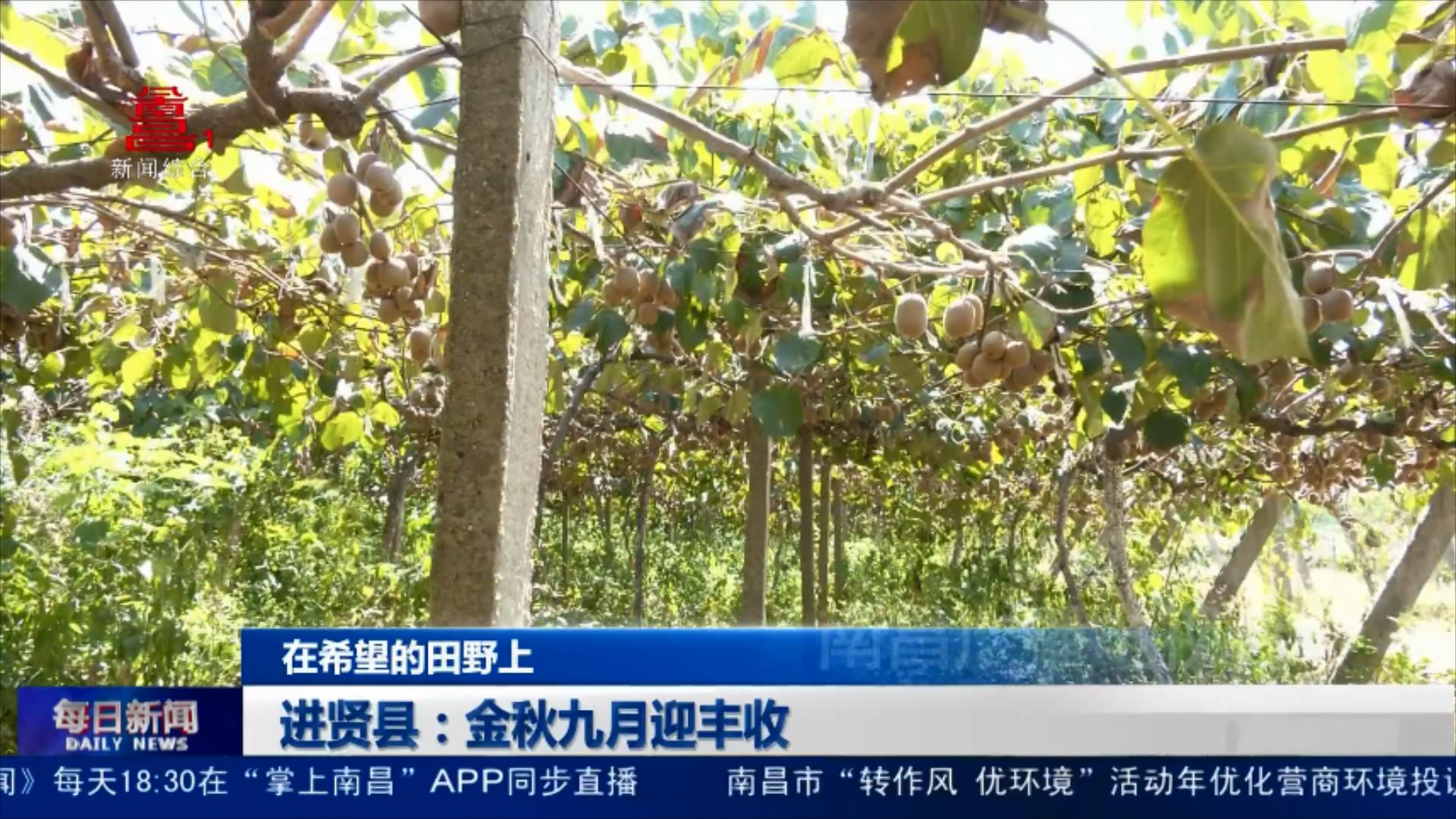 进贤县：金秋九月迎丰收 