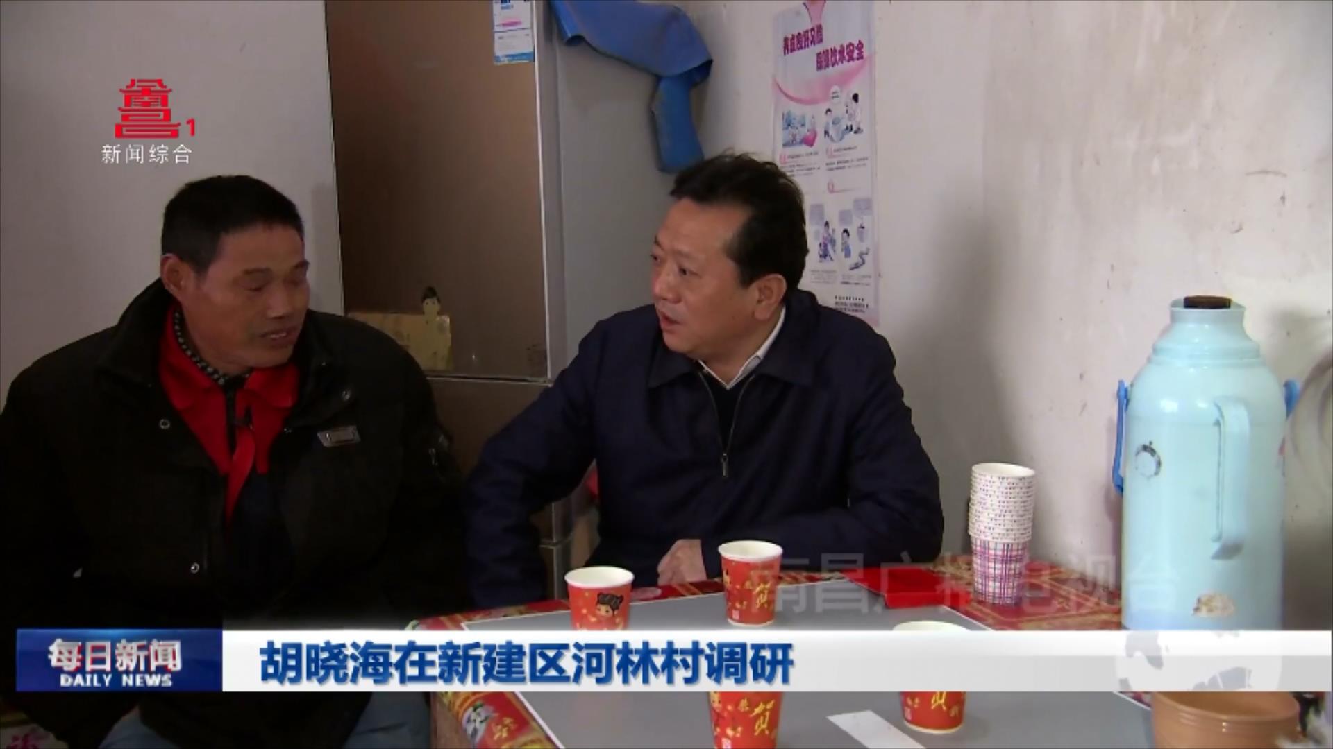 胡晓海在新建区河林村调研