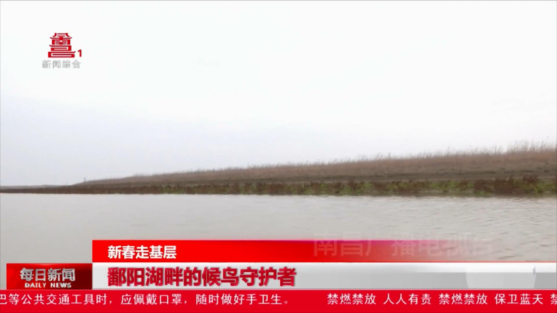 鄱阳湖畔的候鸟守护者