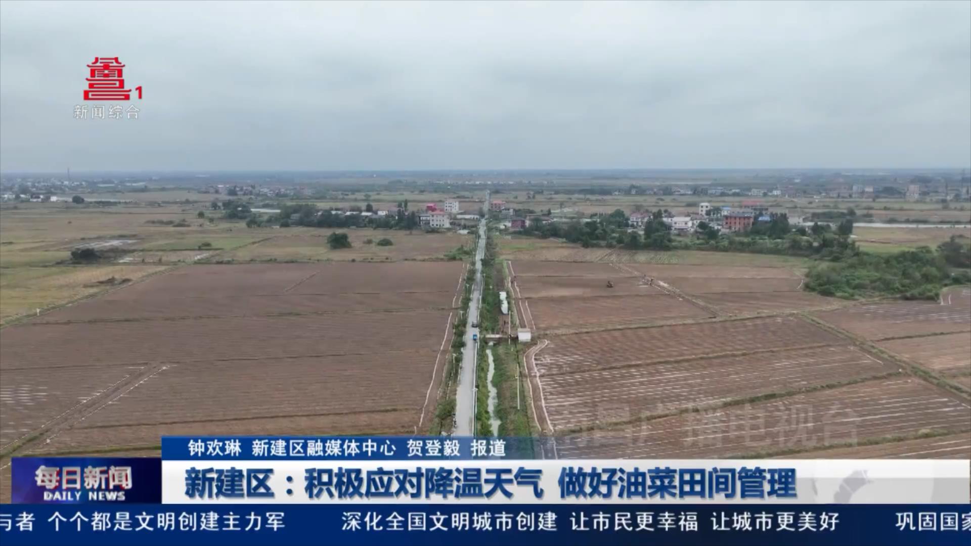 新建区：积极应对降温天气 做好油菜田间管理