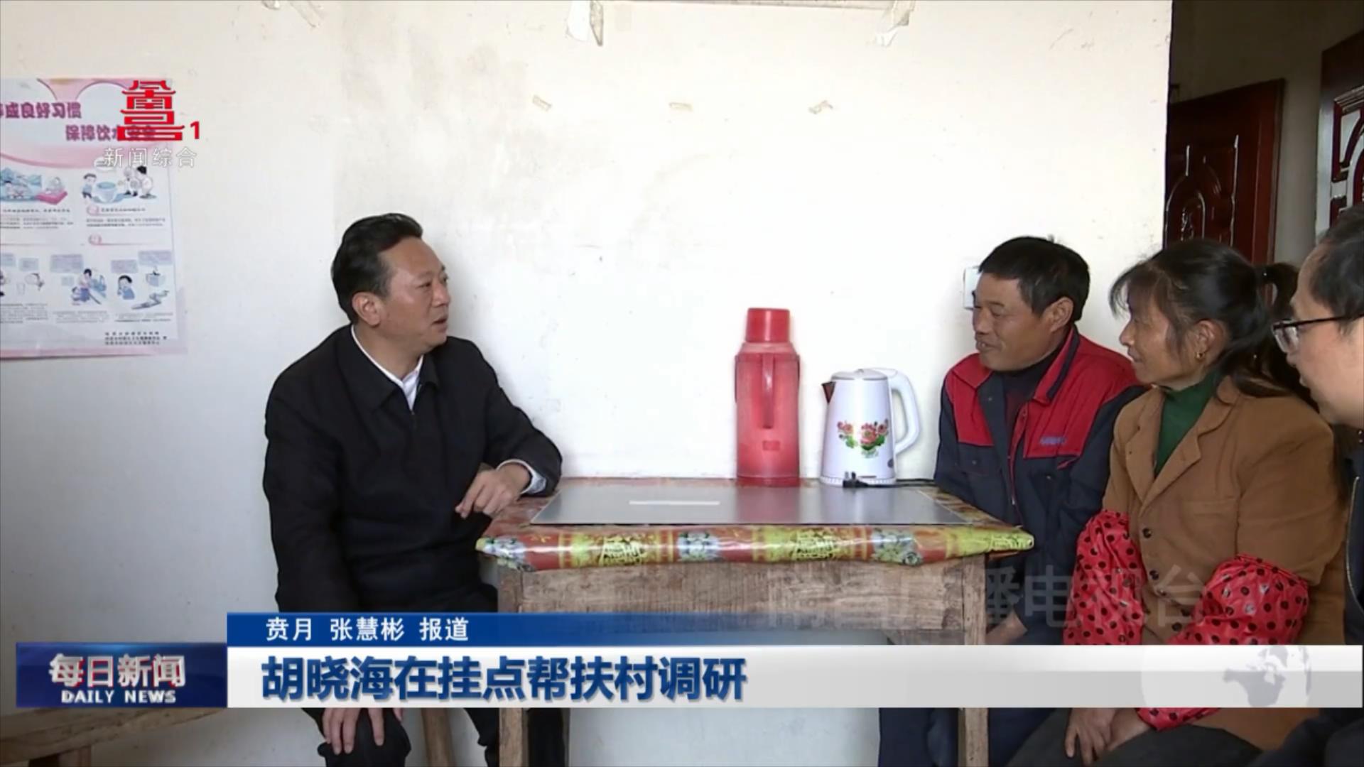 胡晓海在挂点帮扶村调研