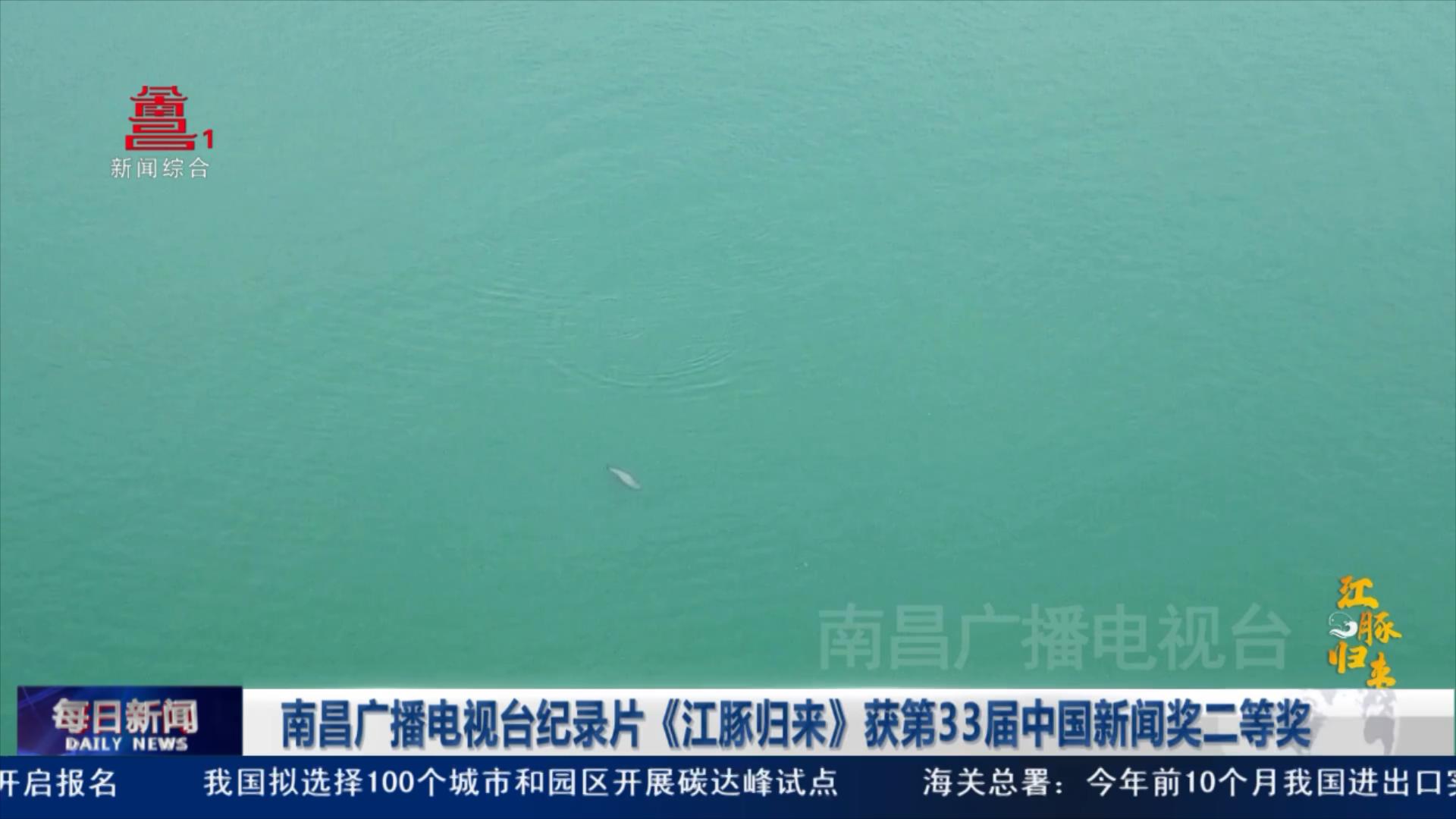 南昌广播电视台纪录片《江豚归来》获第33届中国新闻奖二等奖