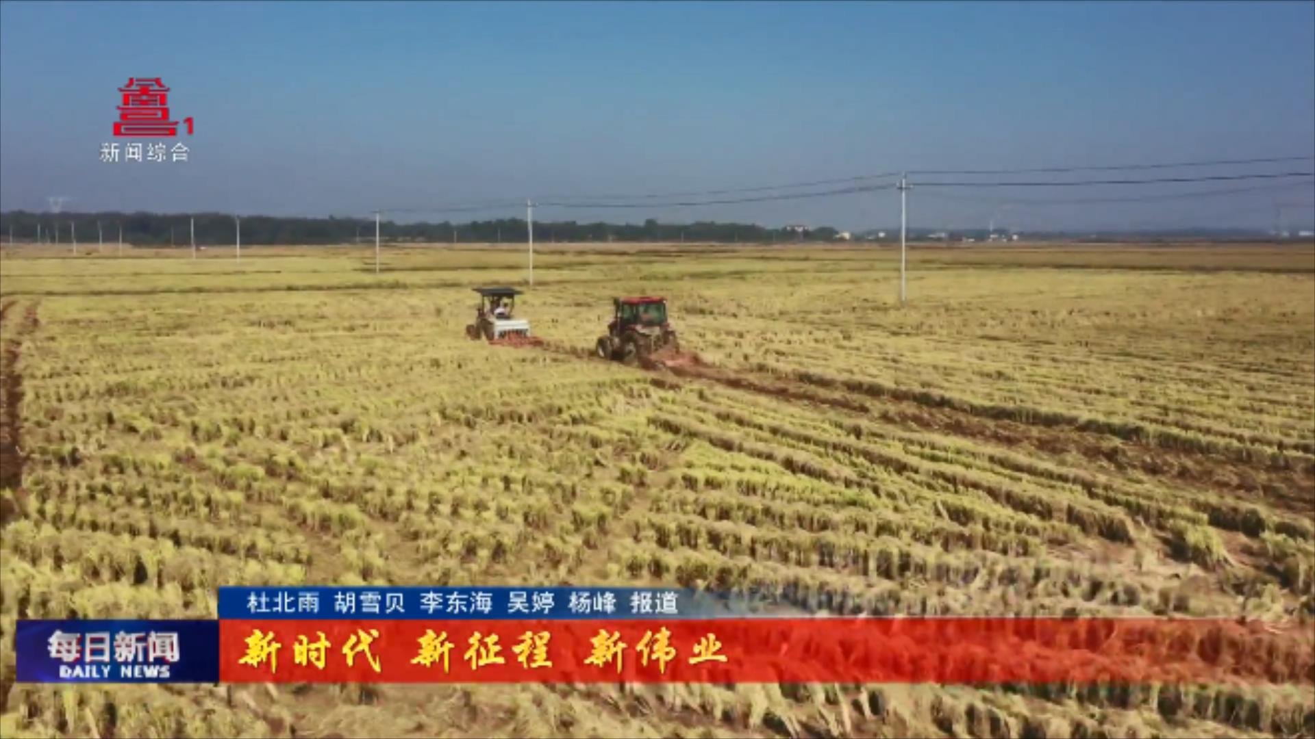 南昌：扎实推进“两整治一提升”   实现产业兴农村美