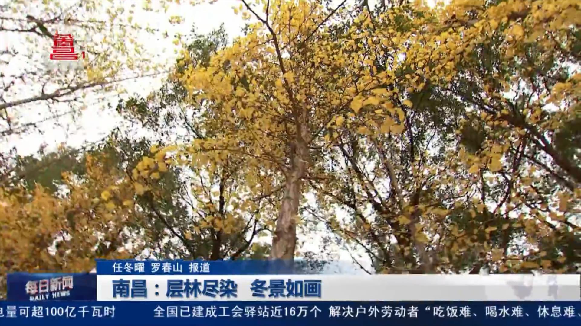 南昌：层林尽染 冬景如画