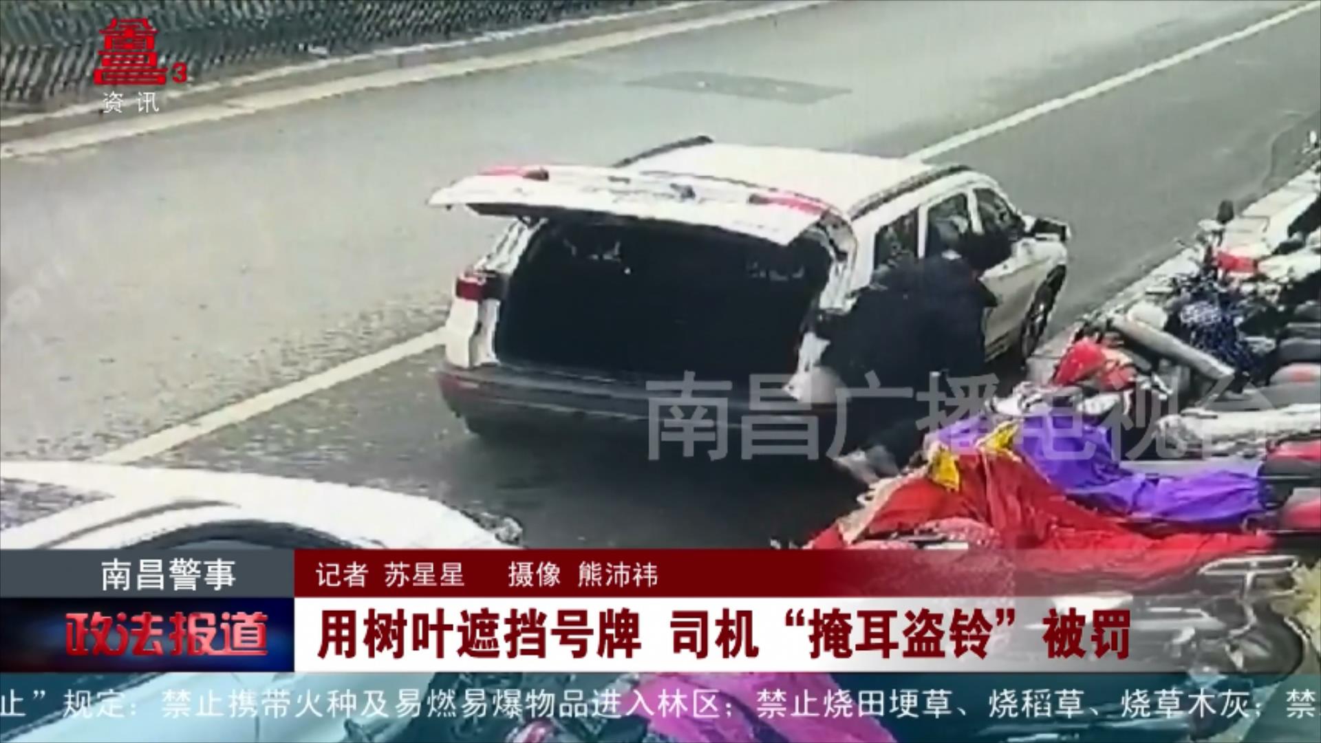 用树叶遮挡号牌 司机“掩耳盗铃”被罚