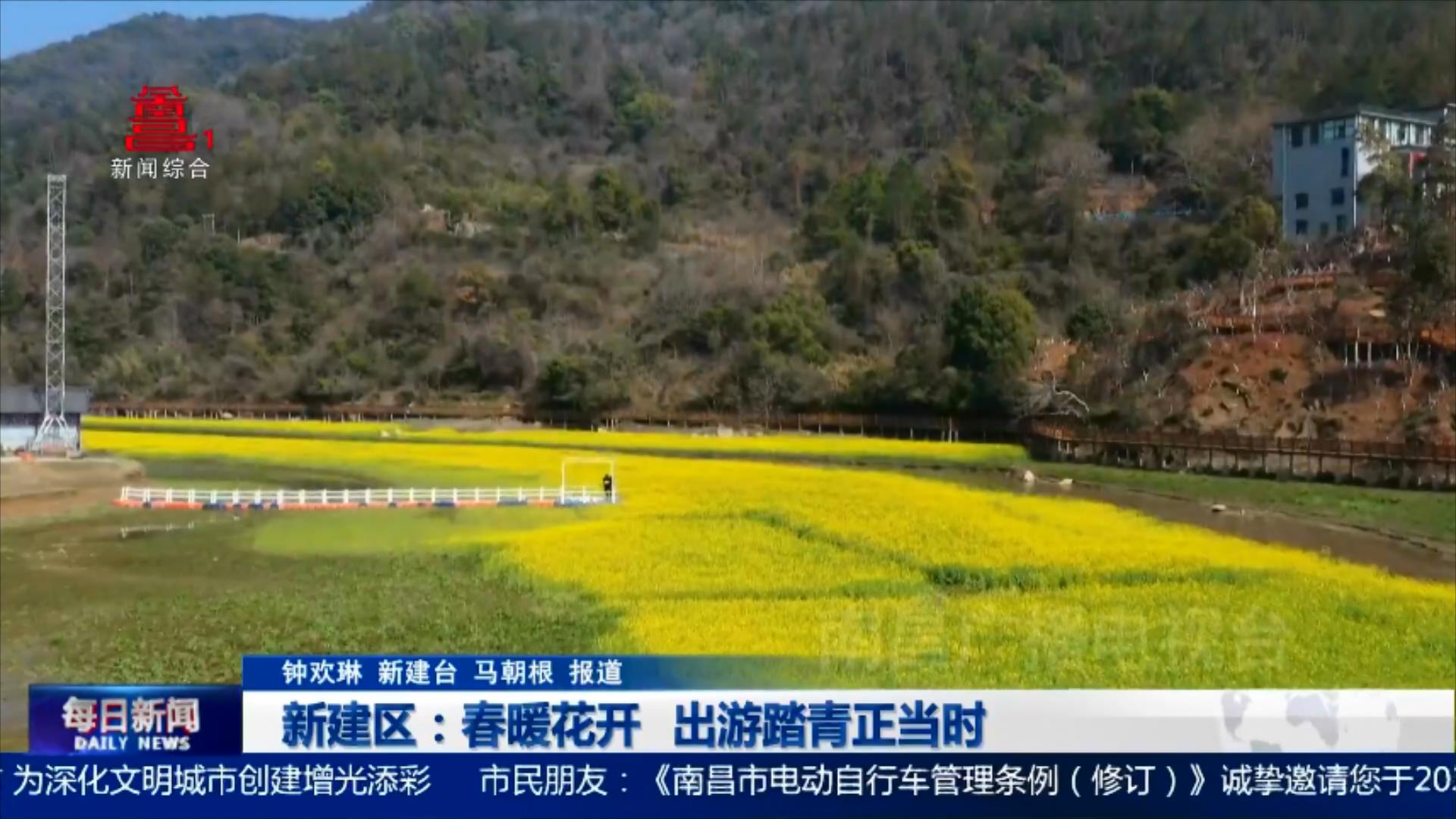 新建区：春暖花开 出游踏青正当时