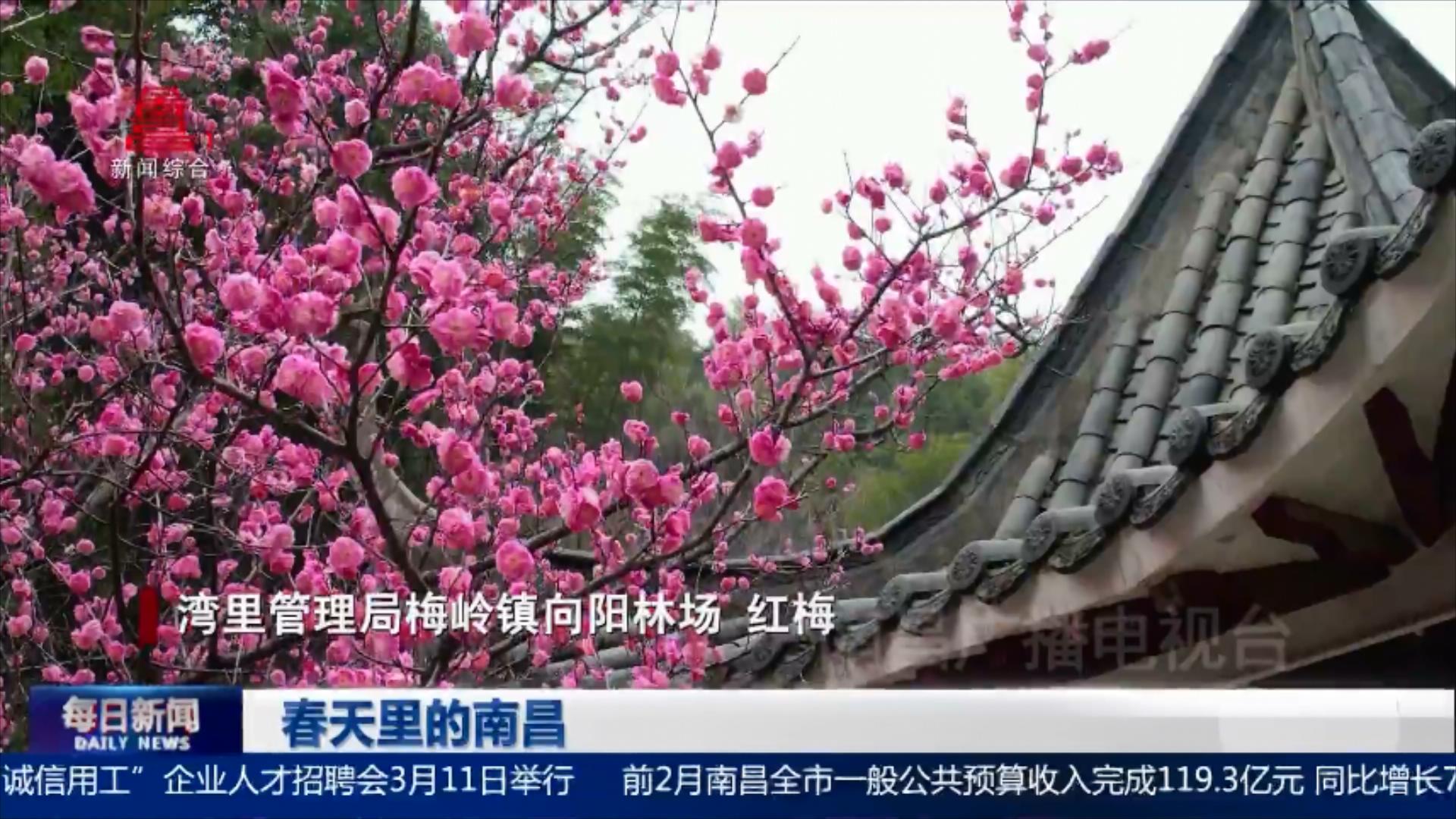 春天里的南昌