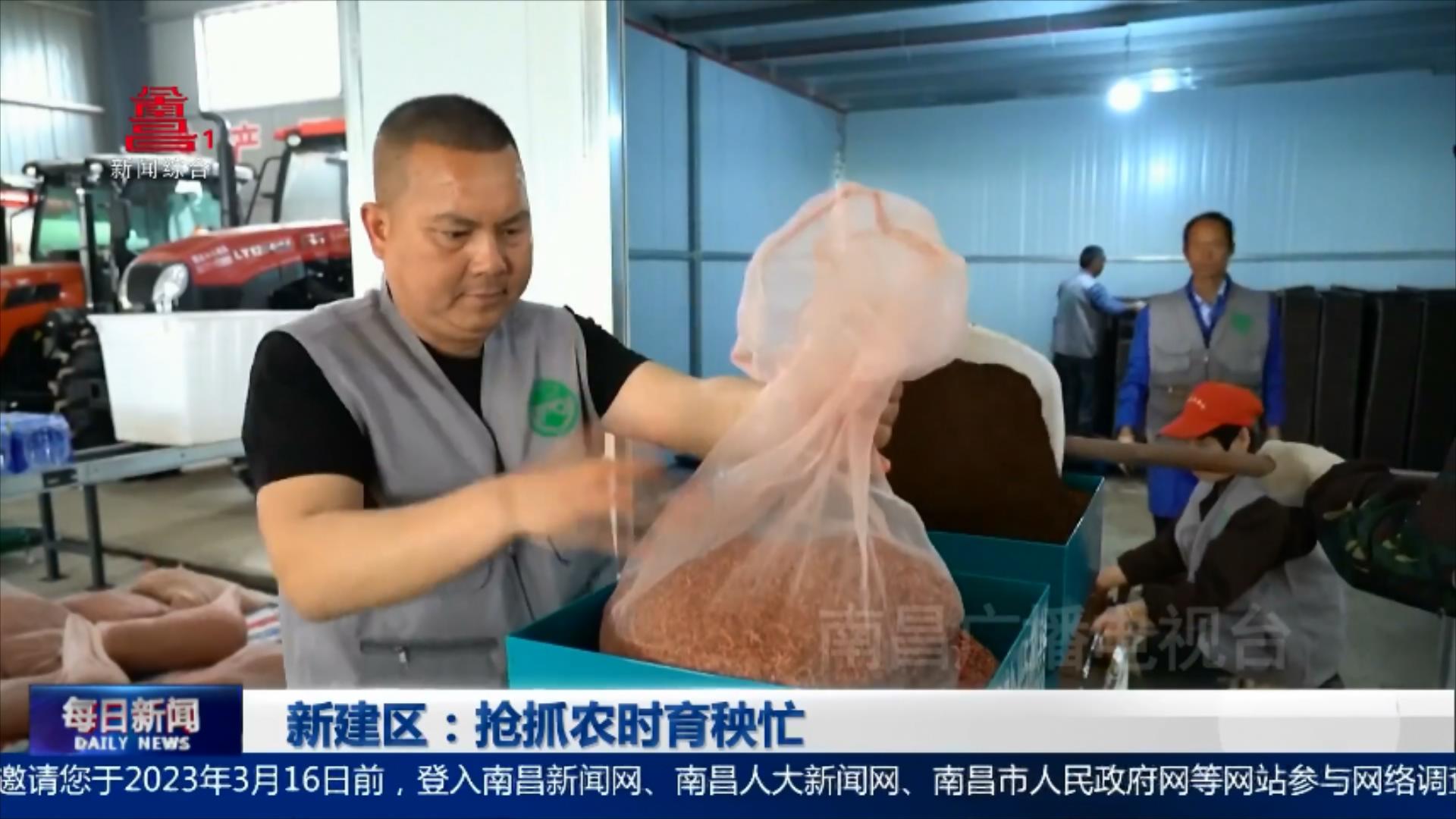 新建区：抢抓农时育秧忙