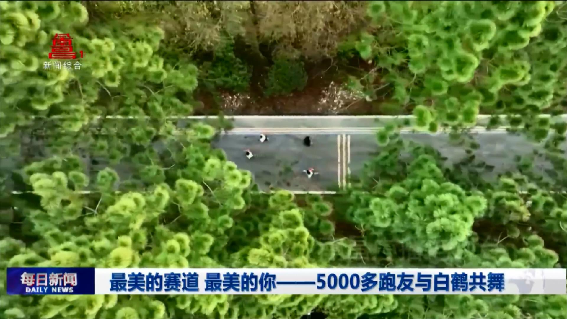 最美的赛道 最美的你——5000多跑友与白鹤共舞