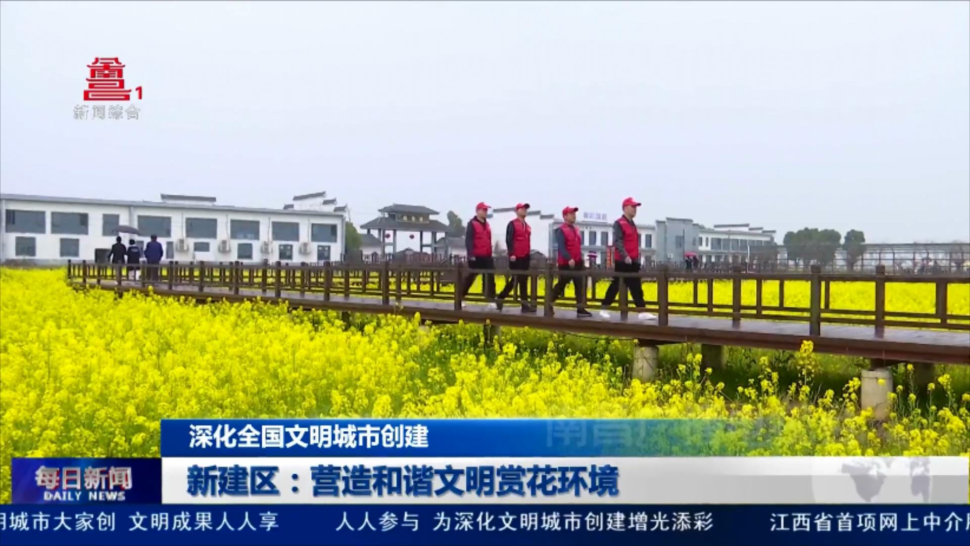 新建区：营造和谐文明赏花环境