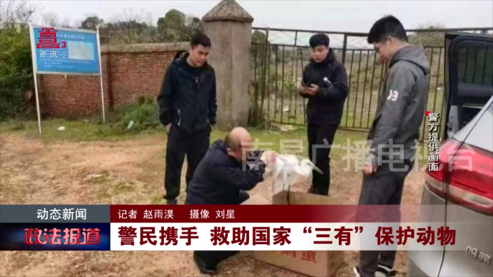 徒手爬楼行窃“蜘蛛侠”兄弟落网