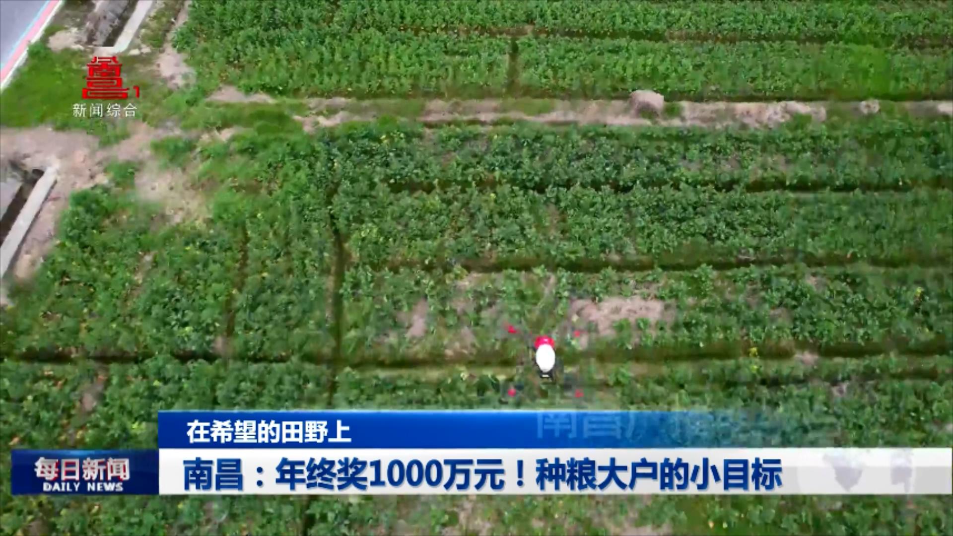 南昌：年终奖1000万元！种粮大户的小目标