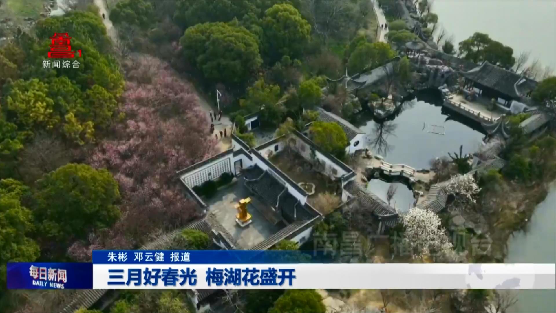 三月好春光 梅湖花盛开