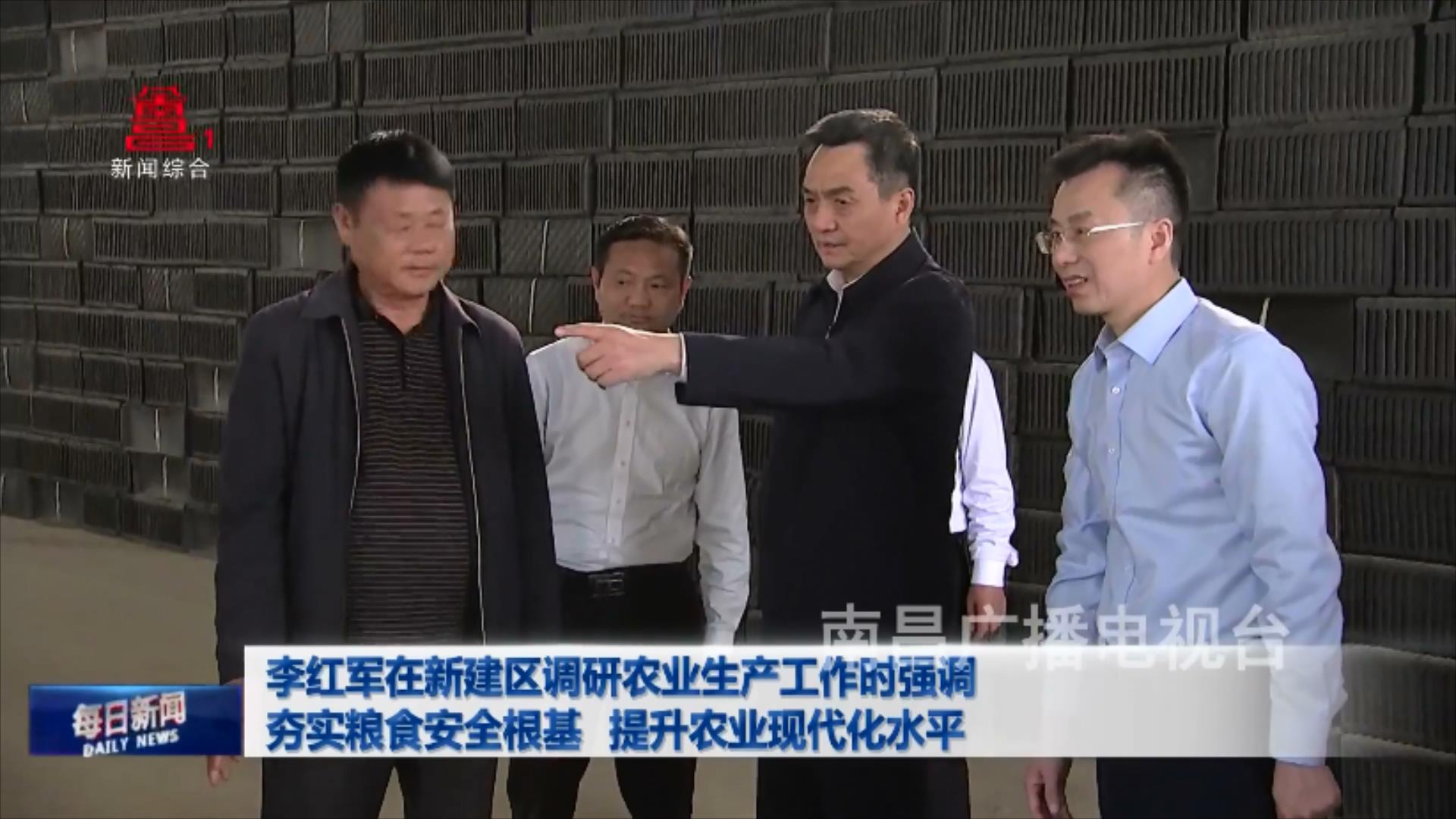 李红军在新建区调研农业生产工作时强调 夯实粮食安全根基 提升农业现代化水平