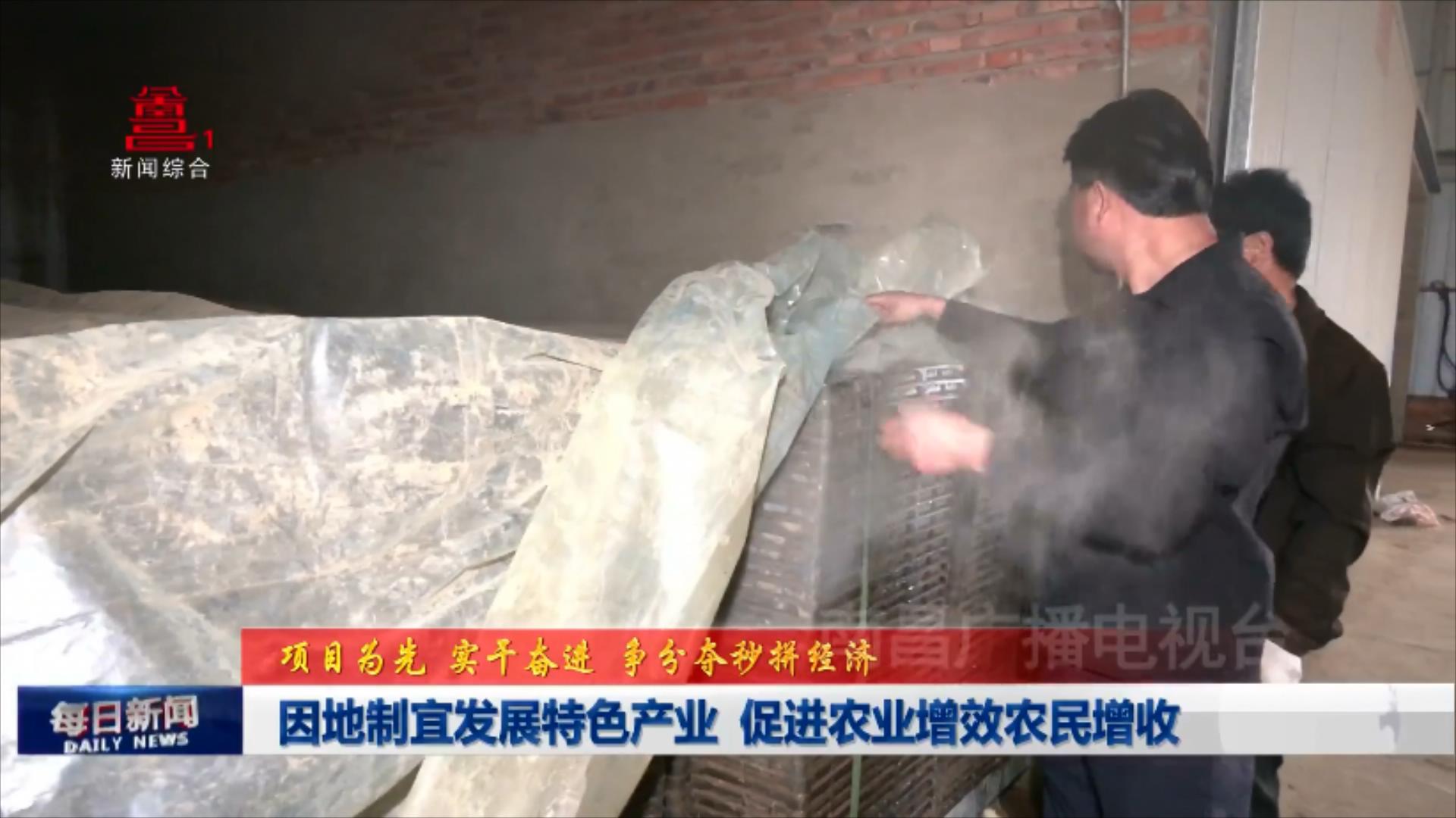 因地制宜发展特色产业 促进农业增效农民增收
