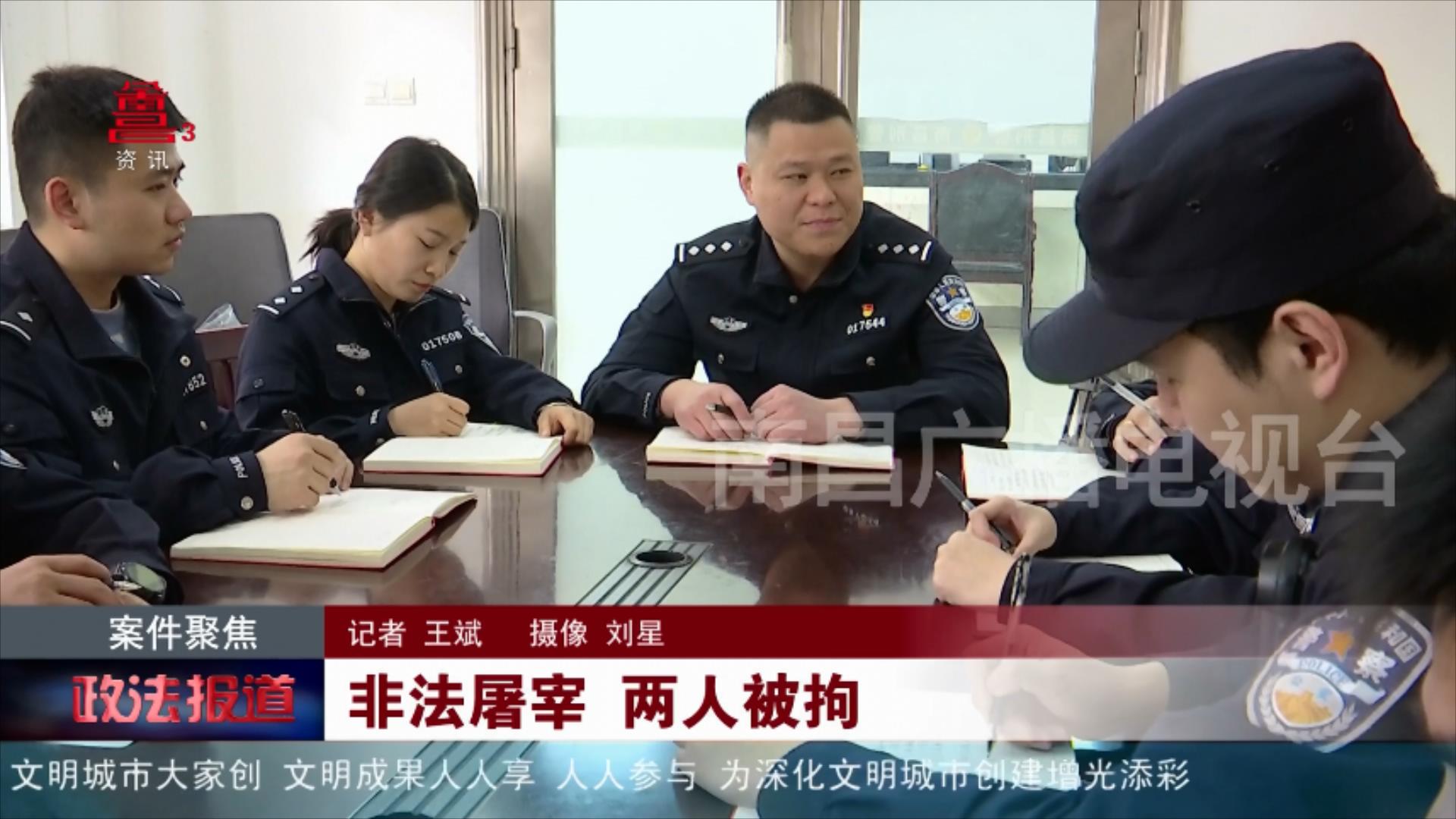 非法屠宰 两人被拘