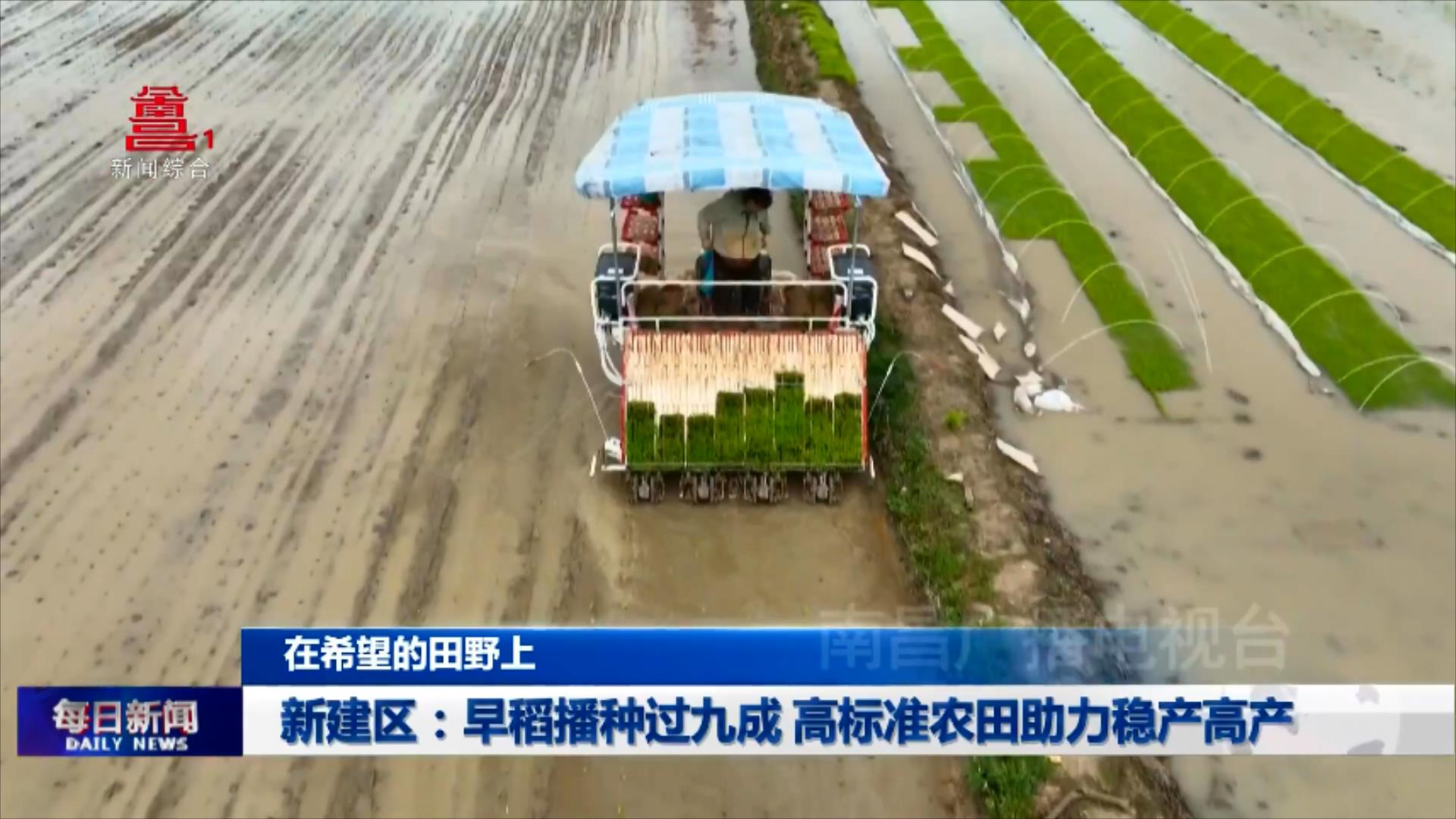 新建区：早稻播种过九成 高标准农田助力稳产高产
