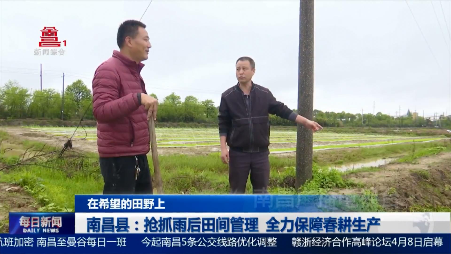 南昌县：抢抓雨后田间管理 全力保障春耕生产