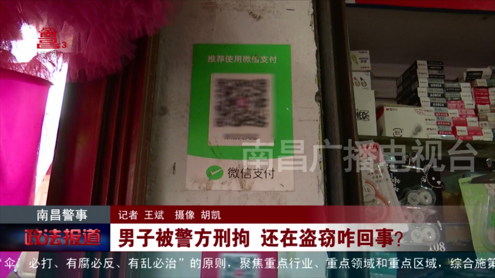 德牧犬快速路上遛弯 交警变身“铲屎官”