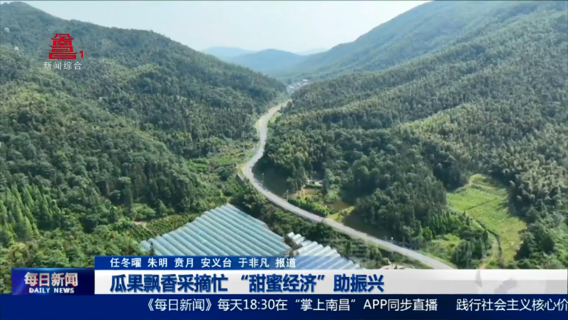 瓜果飘香采摘忙 “甜蜜经济”助振兴