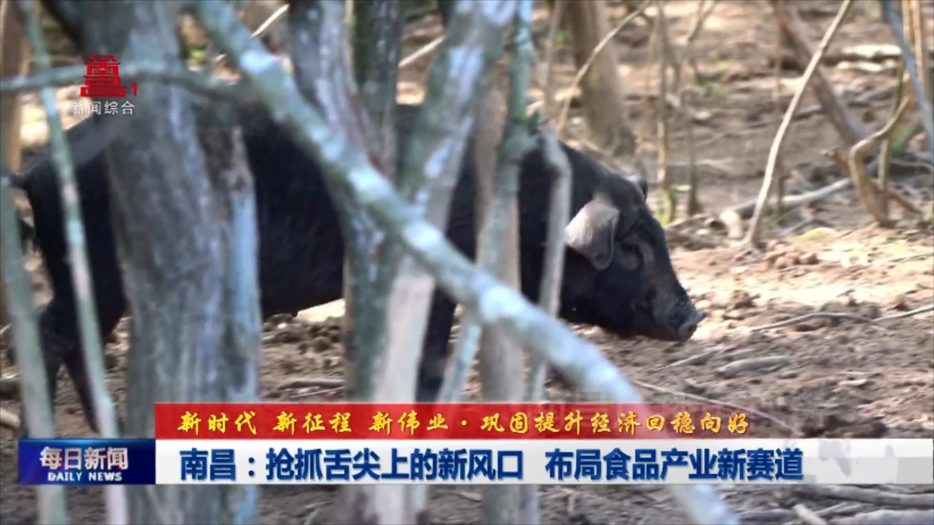 南昌：抢抓舌尖上的新风口 布局食品产业新赛道
