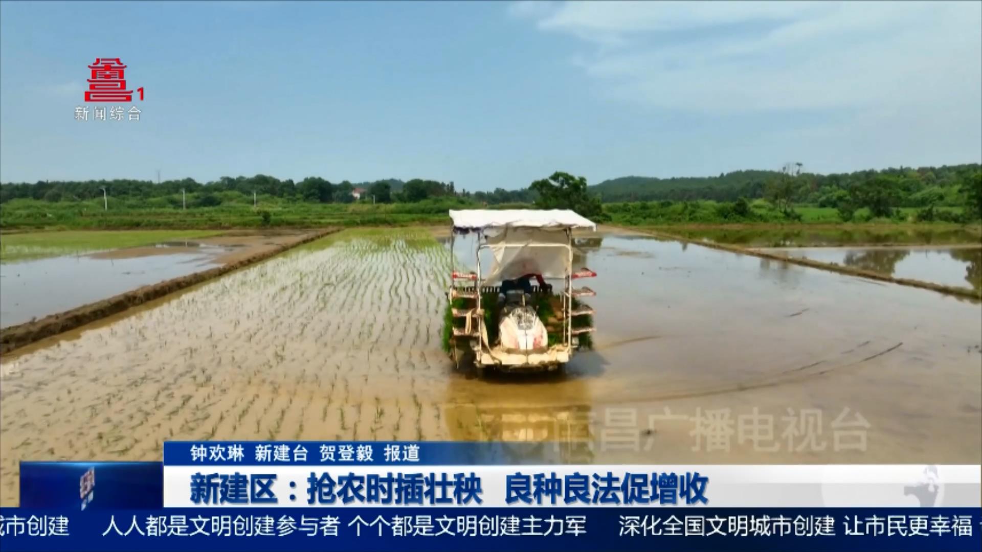 新建区：抢农时插壮秧 良种良法促增收