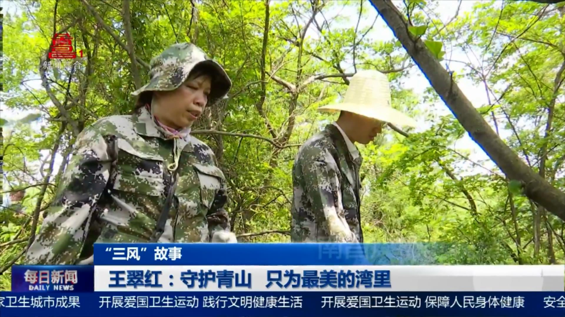 王翠红：守护青山 只为最美的湾里