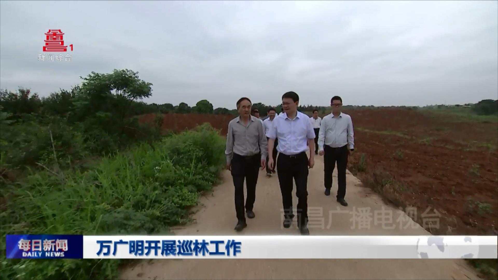 万广明开展巡林工作