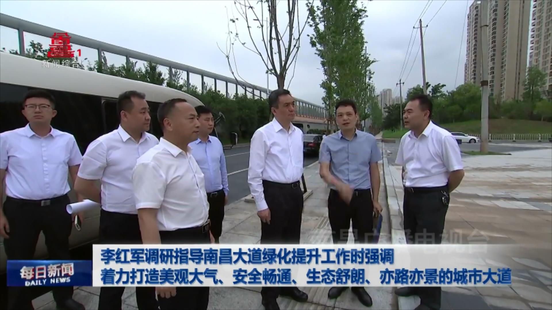 李红军调研指导南昌大道绿化提升工作时强调 着力打造美观大气、安全畅通、生态舒朗、亦路亦景的城市大道