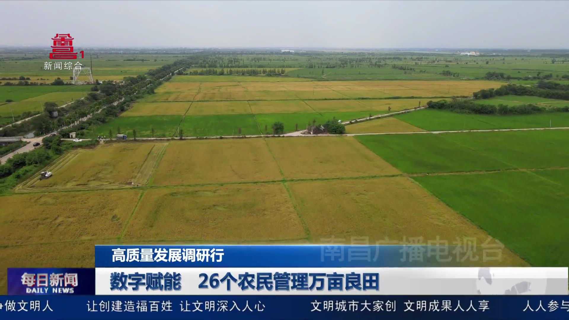 数字赋能 26个农民管理万亩良田 