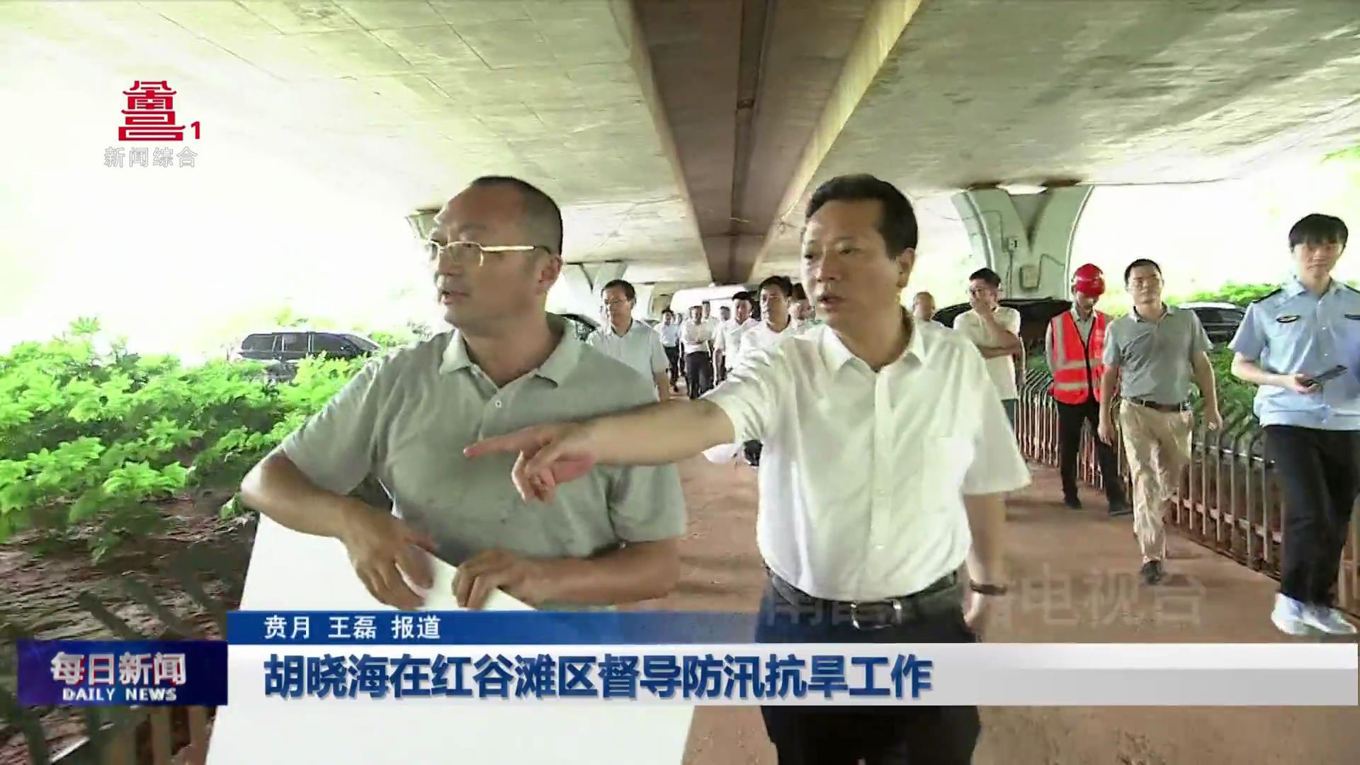 胡晓海在红谷滩区督导防汛抗旱工作