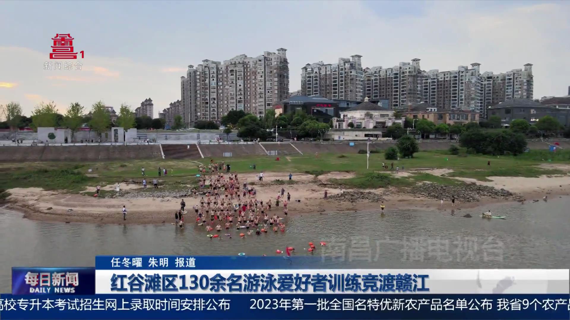 红谷滩区130余名游泳爱好者训练竞渡赣江