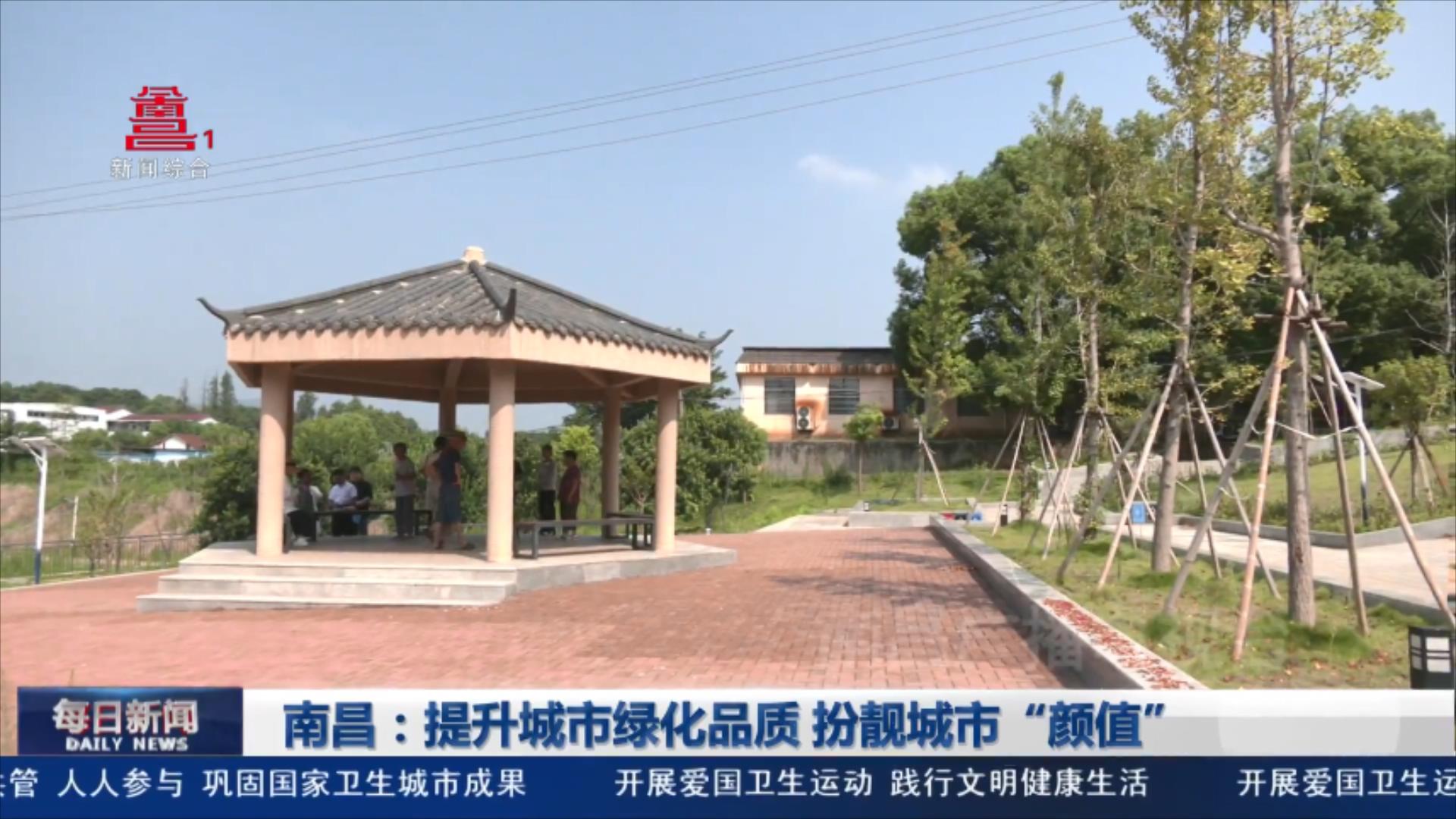 南昌：提升城市绿化品质 扮靓城市“颜值”