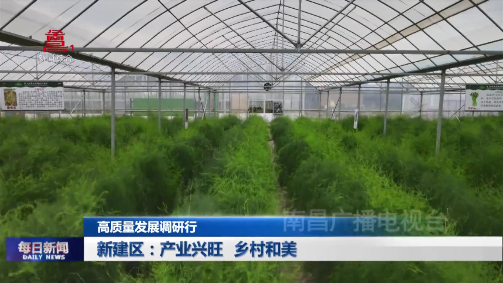 新建区：产业兴旺 乡村和美
