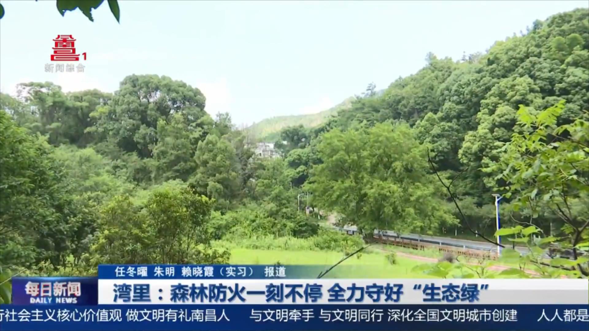 湾里：森林防火一刻不停 全力守好“生态绿”
