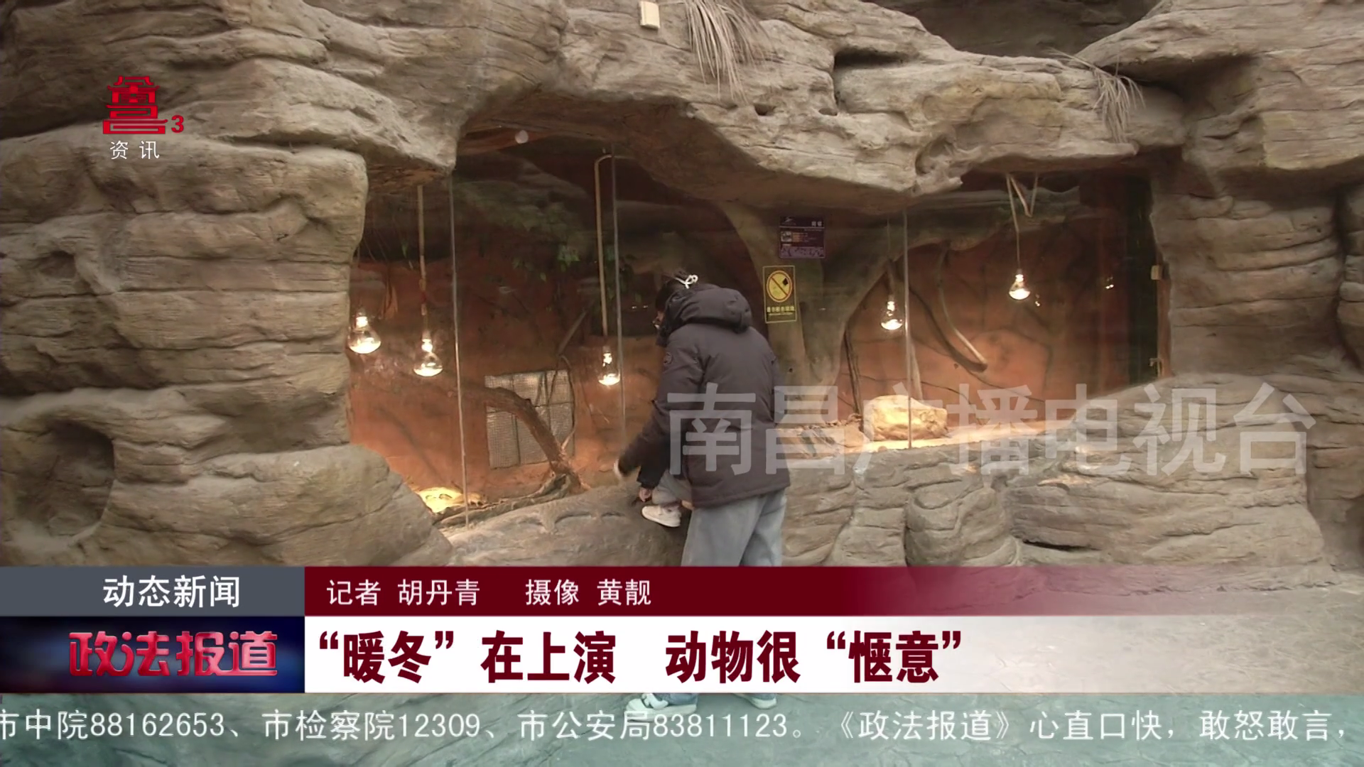 南昌动物园：“暖冬”在上演  动物很“惬意”