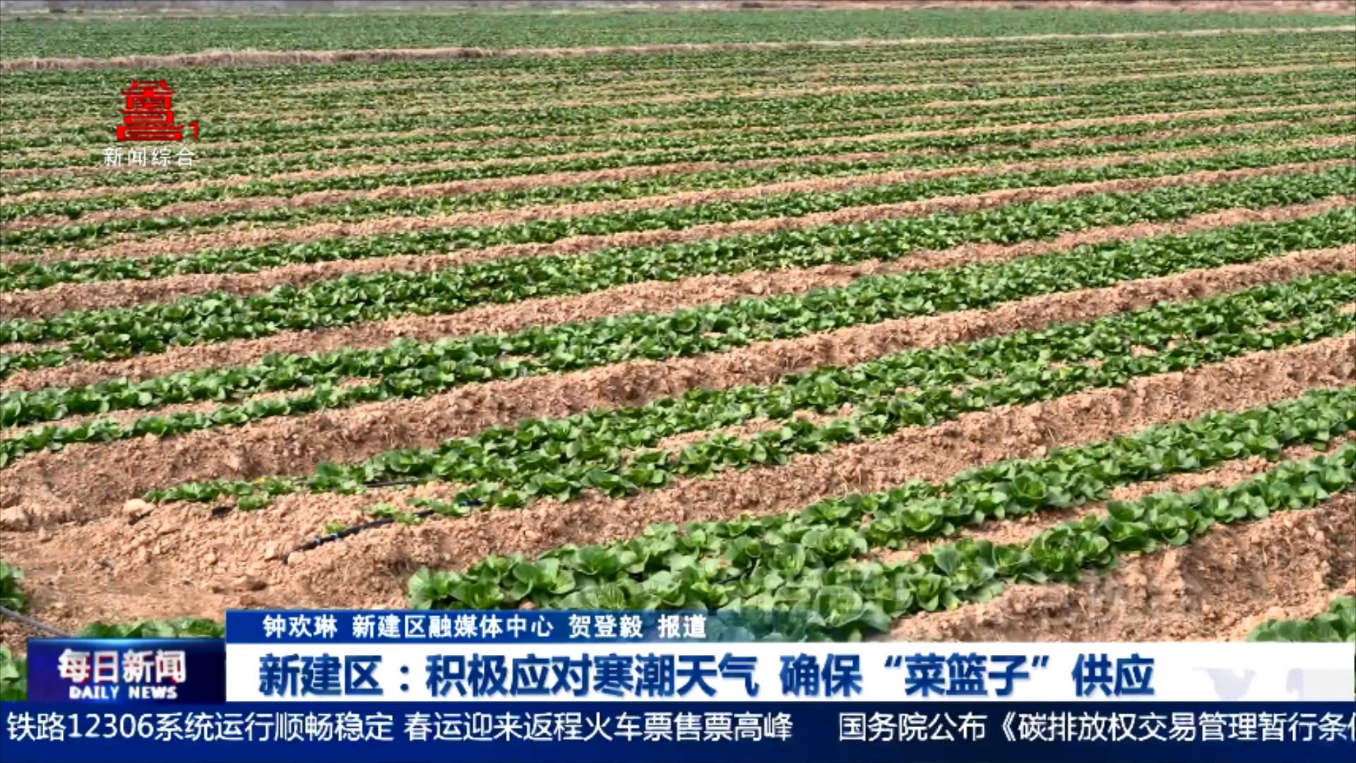 新建区：积极应对寒潮天气  确保“菜篮子”供应