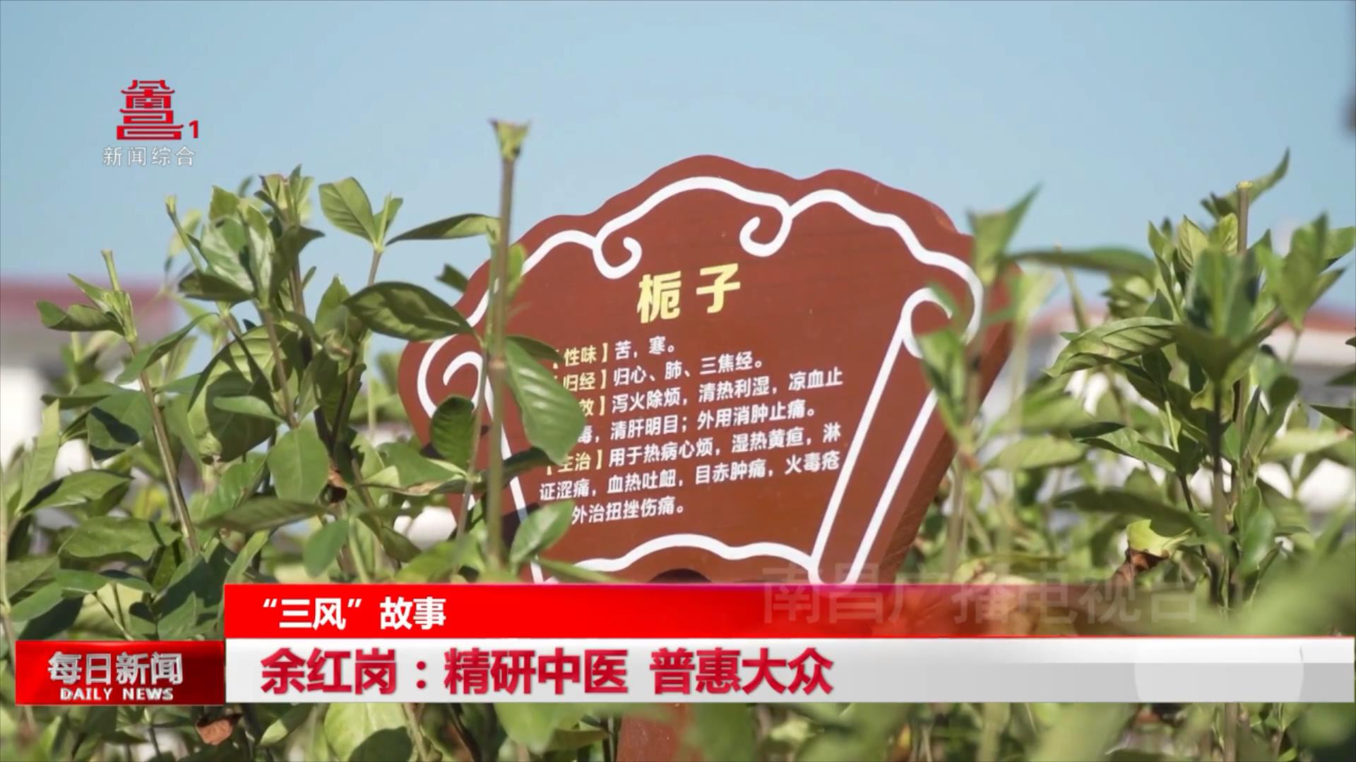 余红岗：精研中医 普惠大众