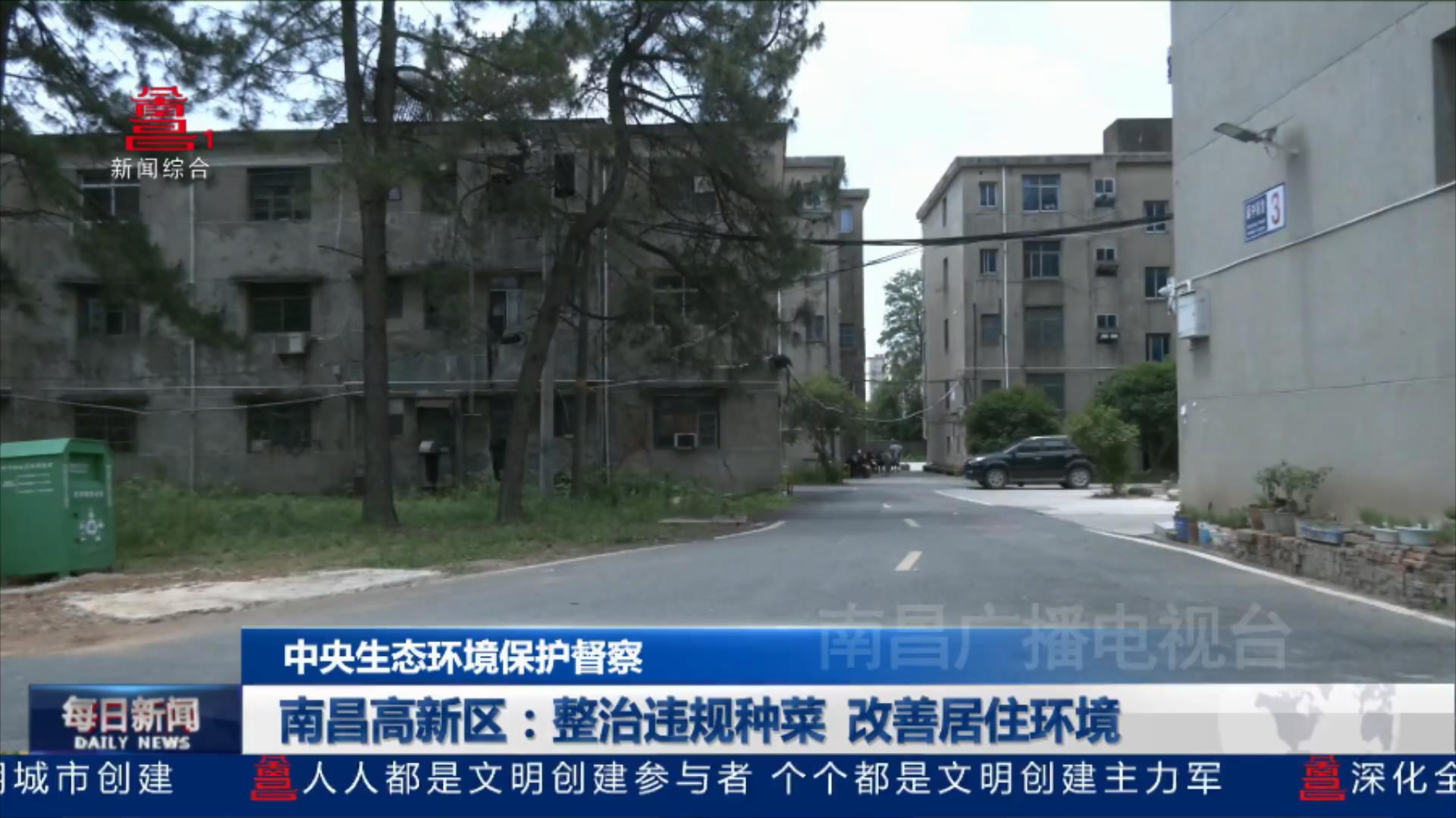 南昌高新区：整治违规种菜  改善居住环境