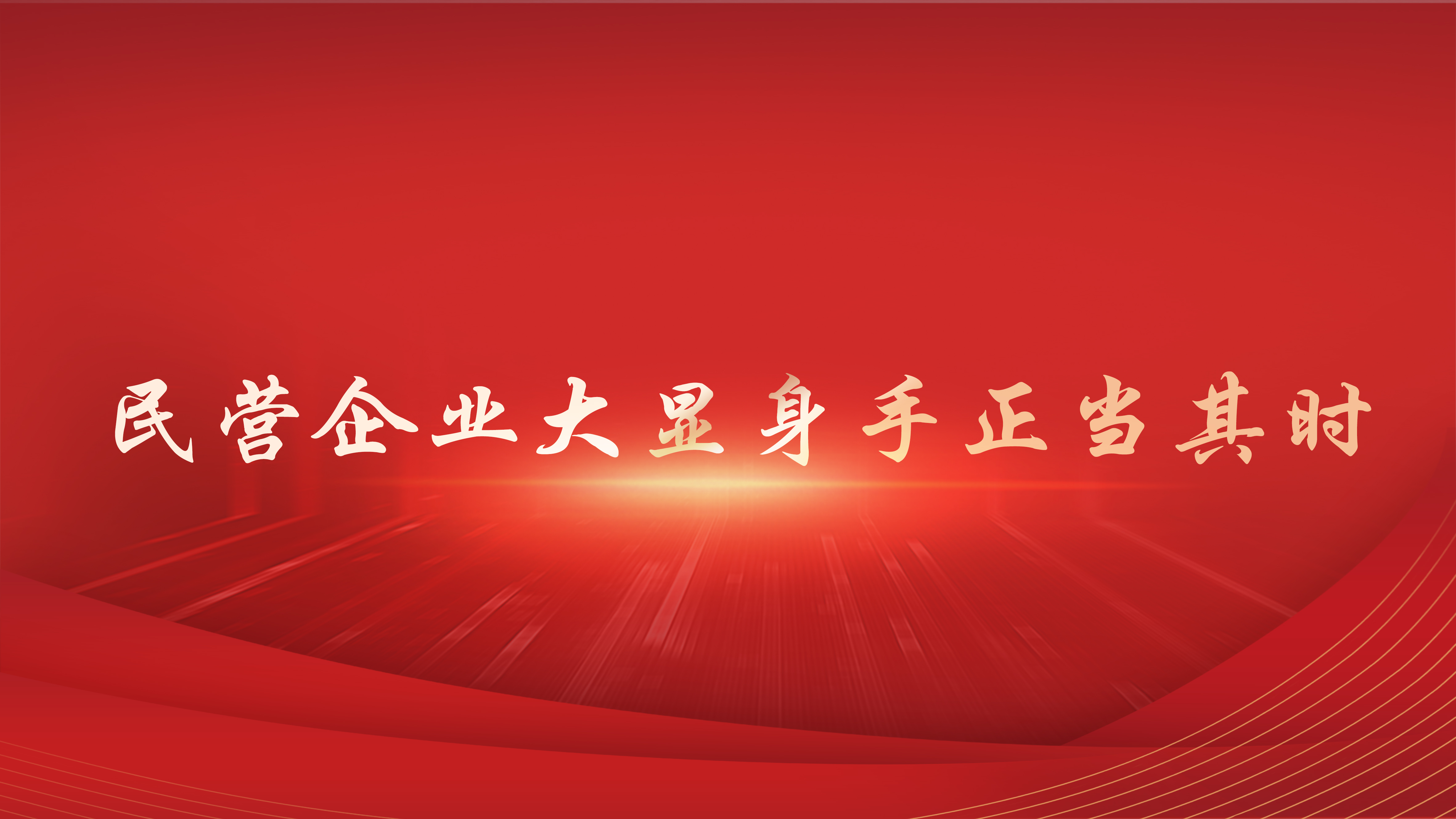 民营企业大显身手正当其时