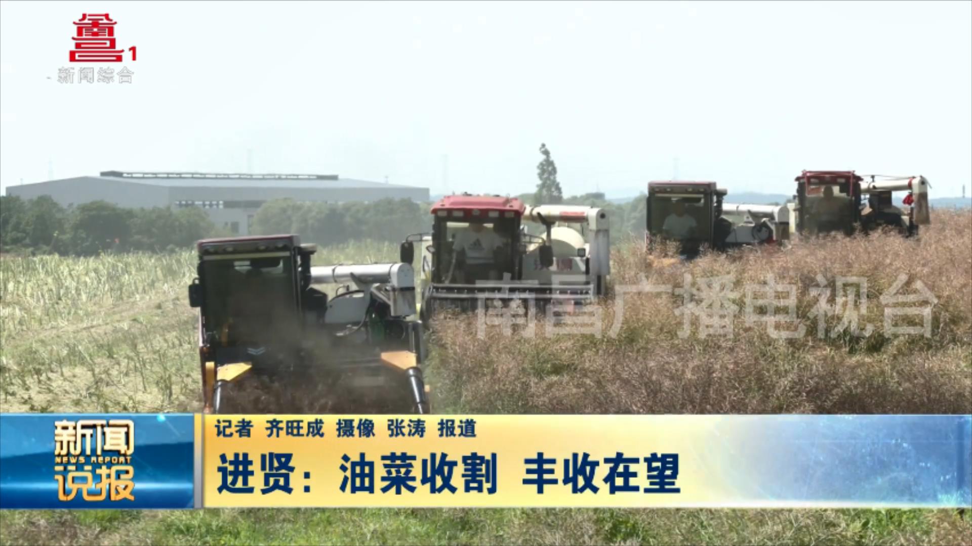 进贤：油菜收割 丰收在望