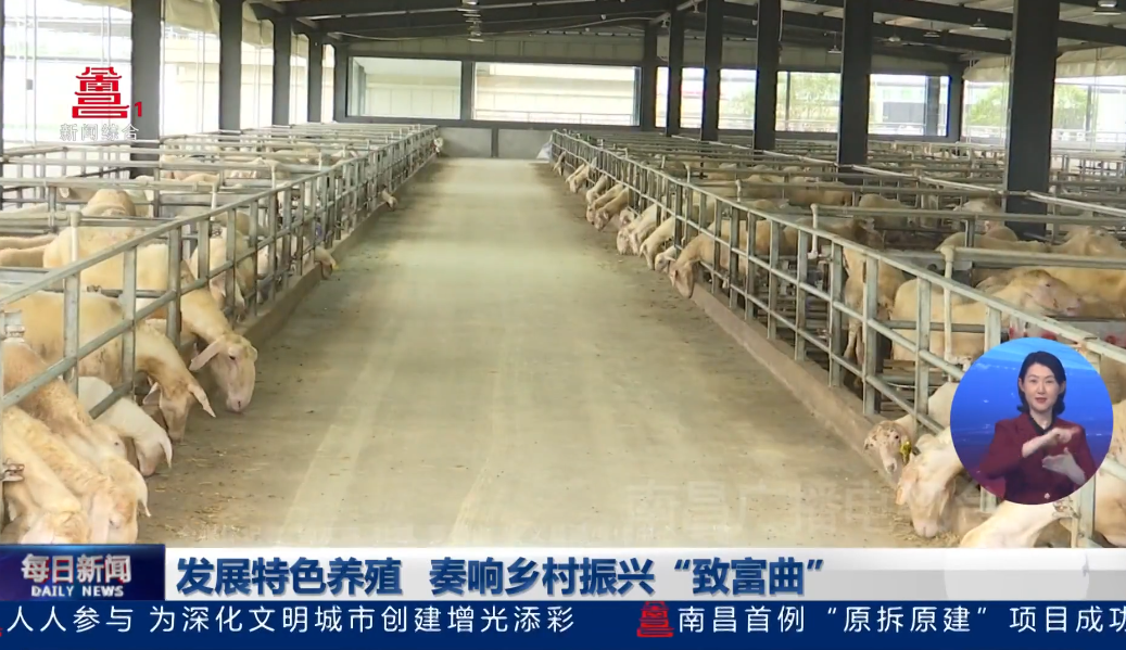 发展特色养殖  奏响乡村振兴“致富曲” 发展特色养殖  奏响乡村振兴“致富曲”