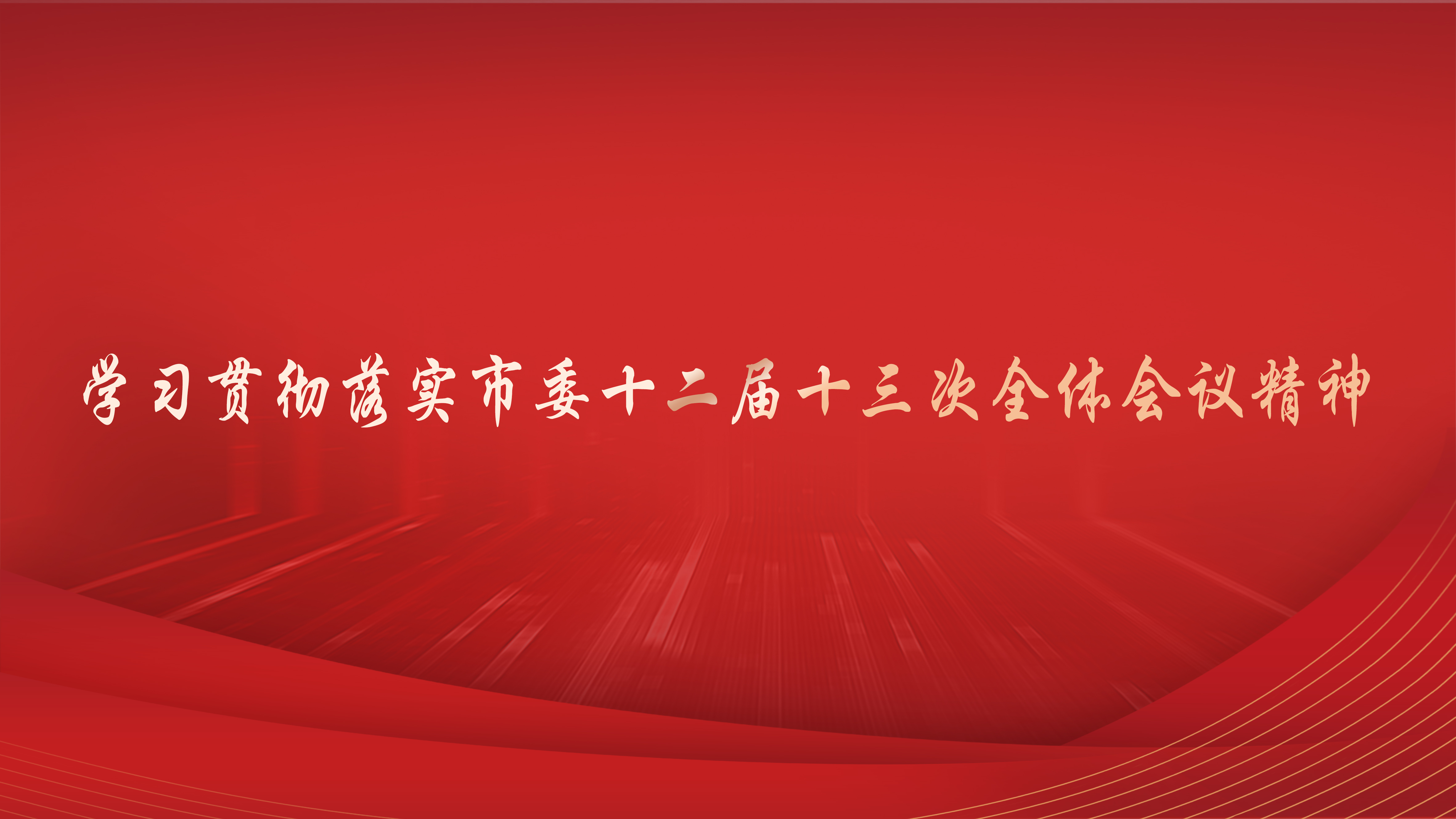 学习贯彻落实市委十二届十三次全体会议精神