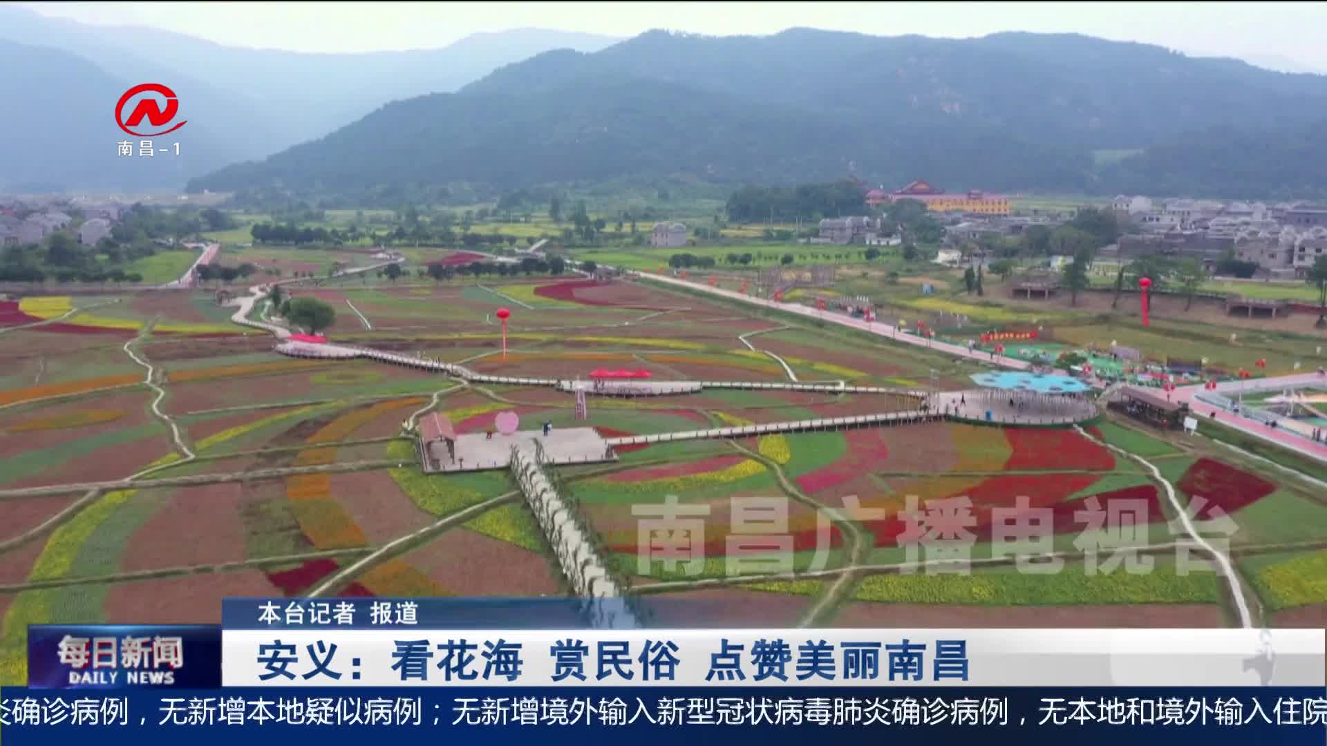 安义：看花海 赏民俗 点赞美丽南昌