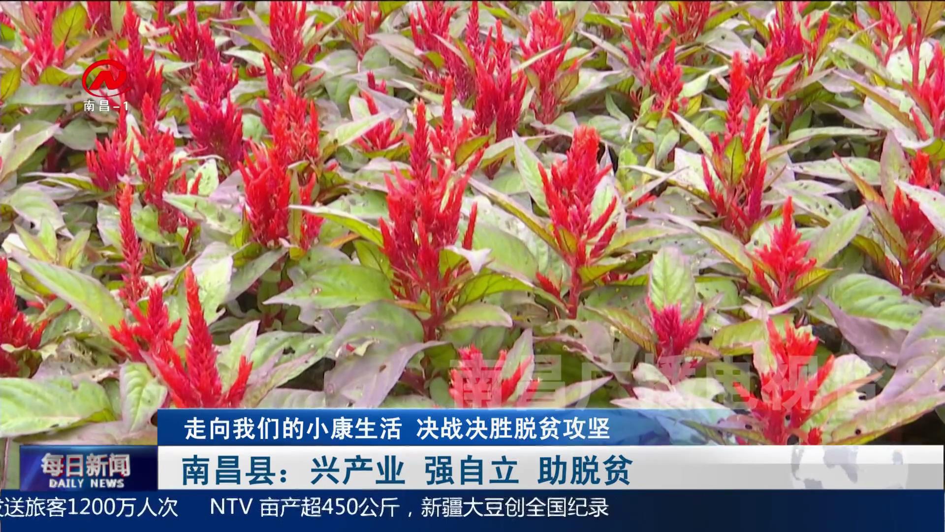 南昌县：兴产业  强自立 助脱贫