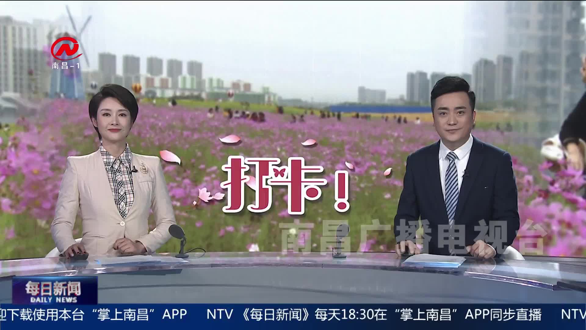 走！去马兰花海公园打卡去！