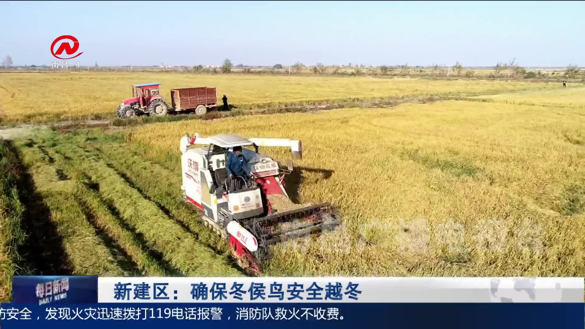 新建区：确保冬侯鸟安全越冬
