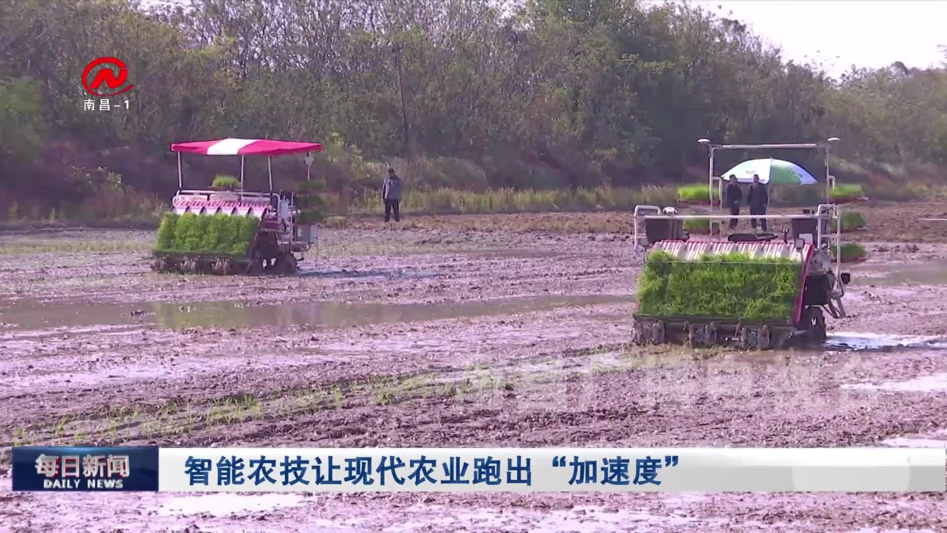 智能农技让现代农业跑出“加速度”