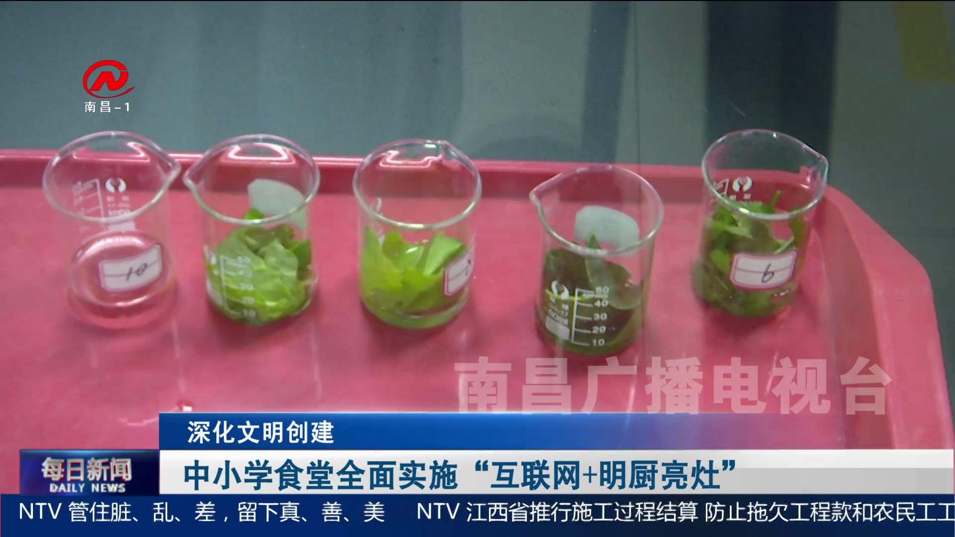 【深化文明创建】中小学食堂全面实施“互联网+明厨亮灶”