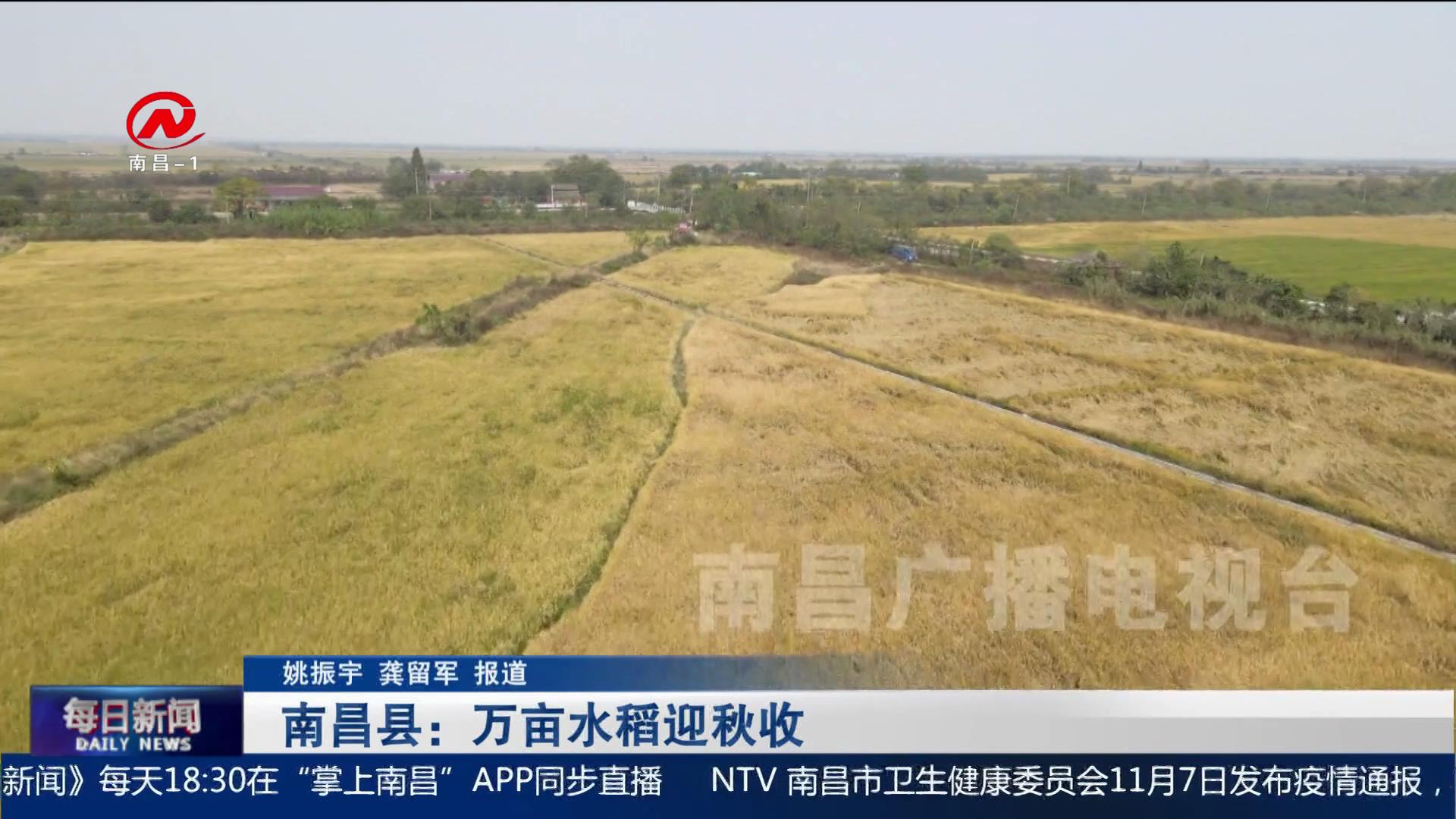 南昌县：万亩水稻迎秋收